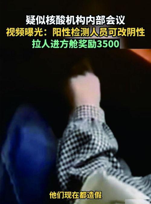 核酸爆料视频,揭开病毒真相的幕后故事