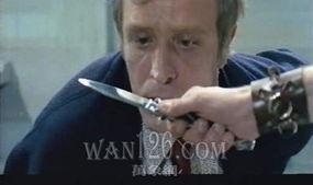 暴力海滩在线观看,在线惊悚之旅，揭秘海滩背后的黑暗秘密